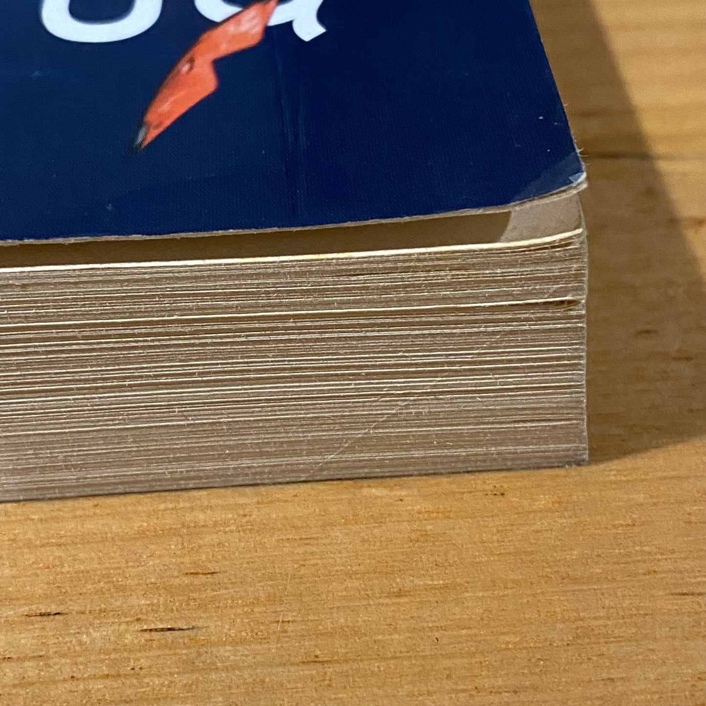 Living With Bipolar by Lesley & Michael Berk Paperback 2008 GD