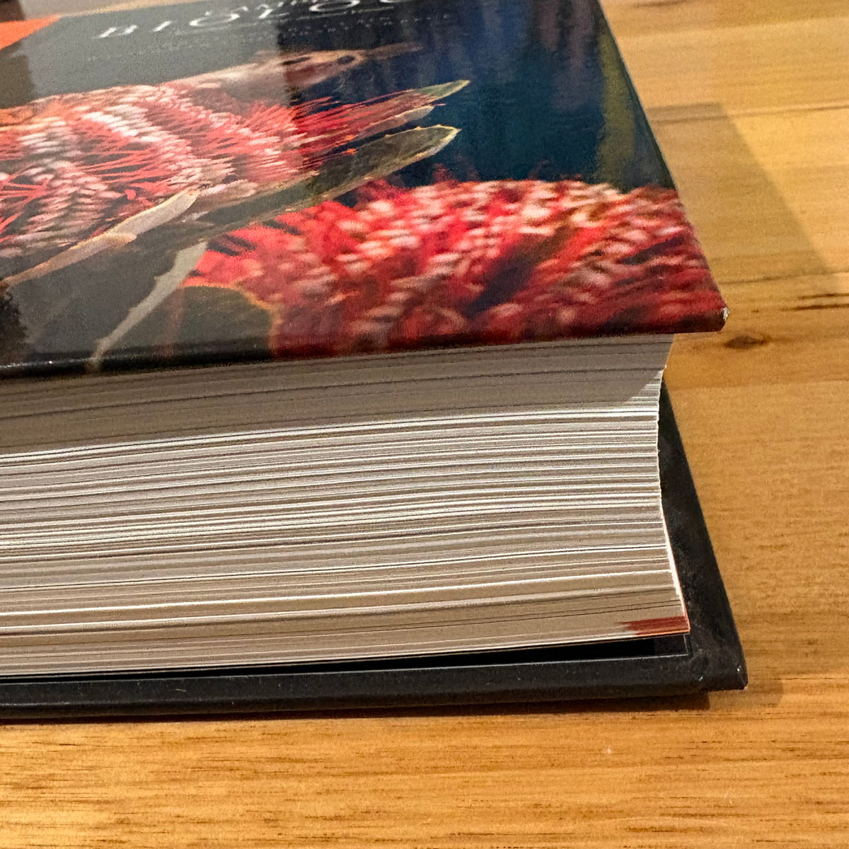 Campbell Biology AUS and NZ Version 11th Edition Lisa A. Urry Hardcover GD