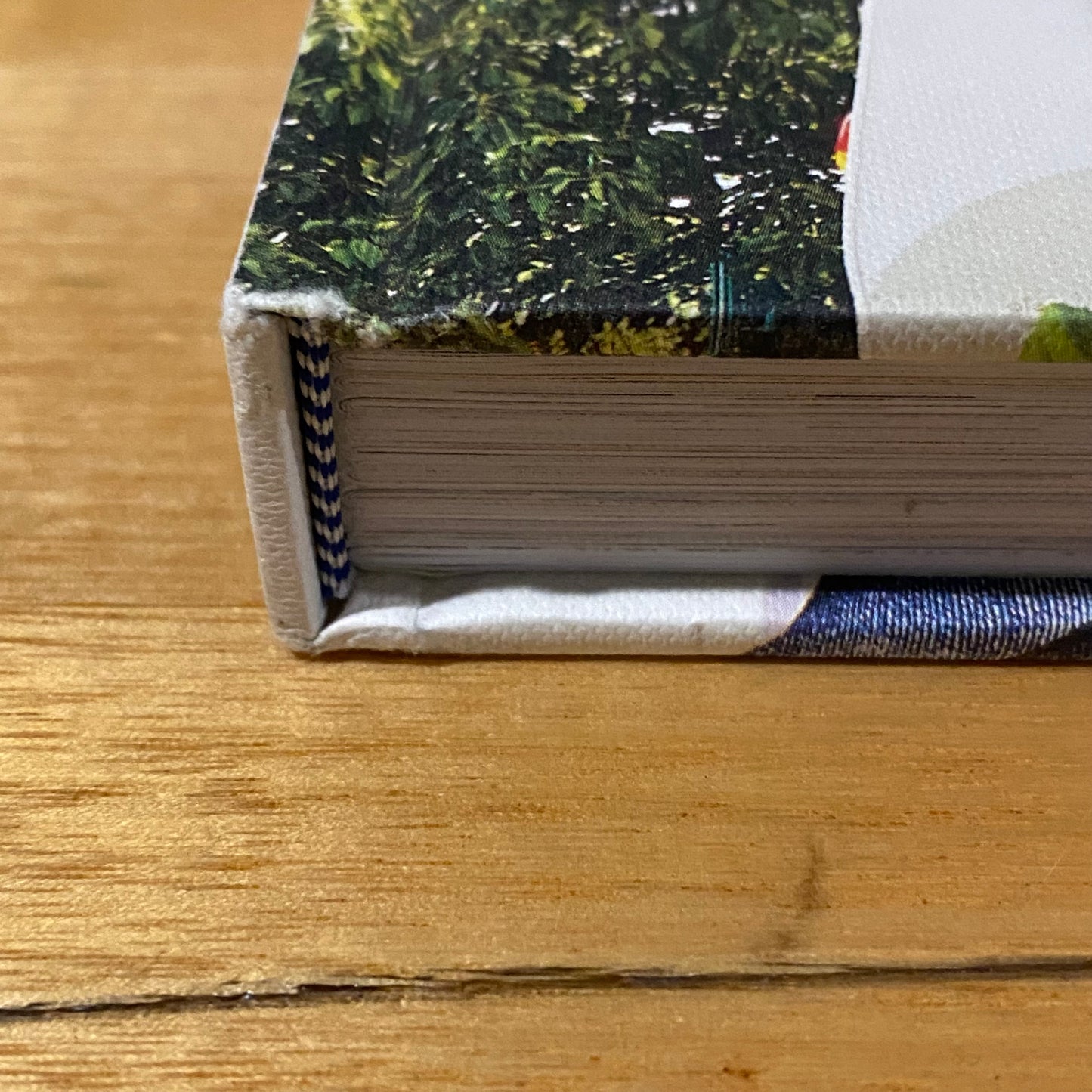 Natural Harry Delicious Plant Based Summer Recipes by Harriet Birrell Hardcover 2015 GD