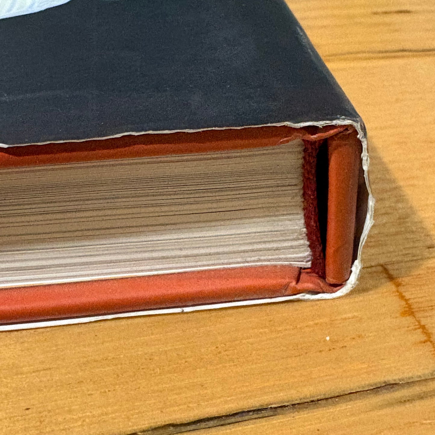 Frank Stitt's Bottega Favorita A Southern Chef's Love Affair With Italian Food Hardcover GD