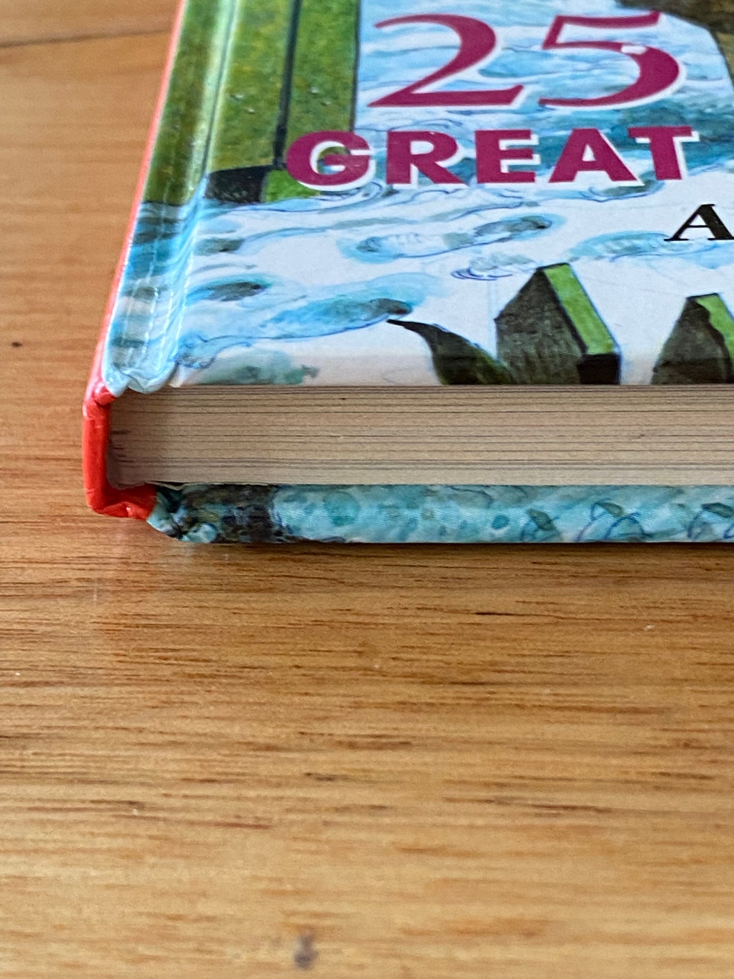 The People’s Friend Annual 2004 GD