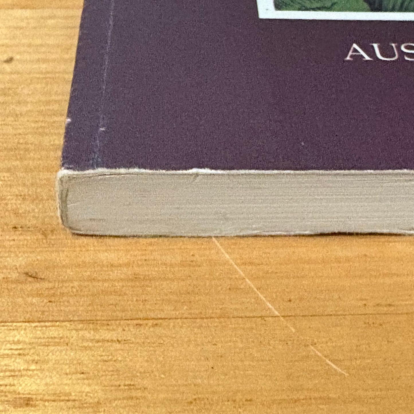 Crimes and Trials Australia's Cultural History No.12 Paperback 1993 GD