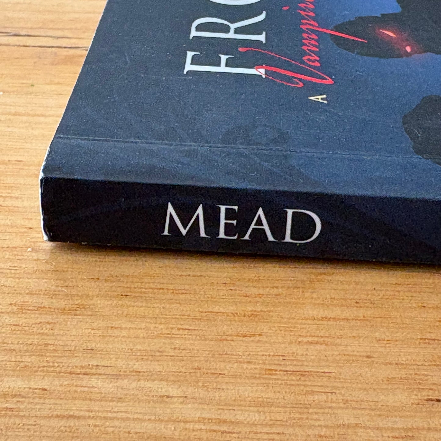 Frostbite A Vampire Academy Graphic Novel Richelle Mead Leigh Dragoon VG