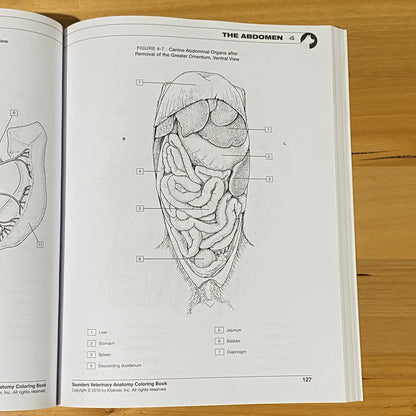 Saunders Veterinary Anatomy Coloring Book 2nd Edition by Baljit Singh Paperback GD