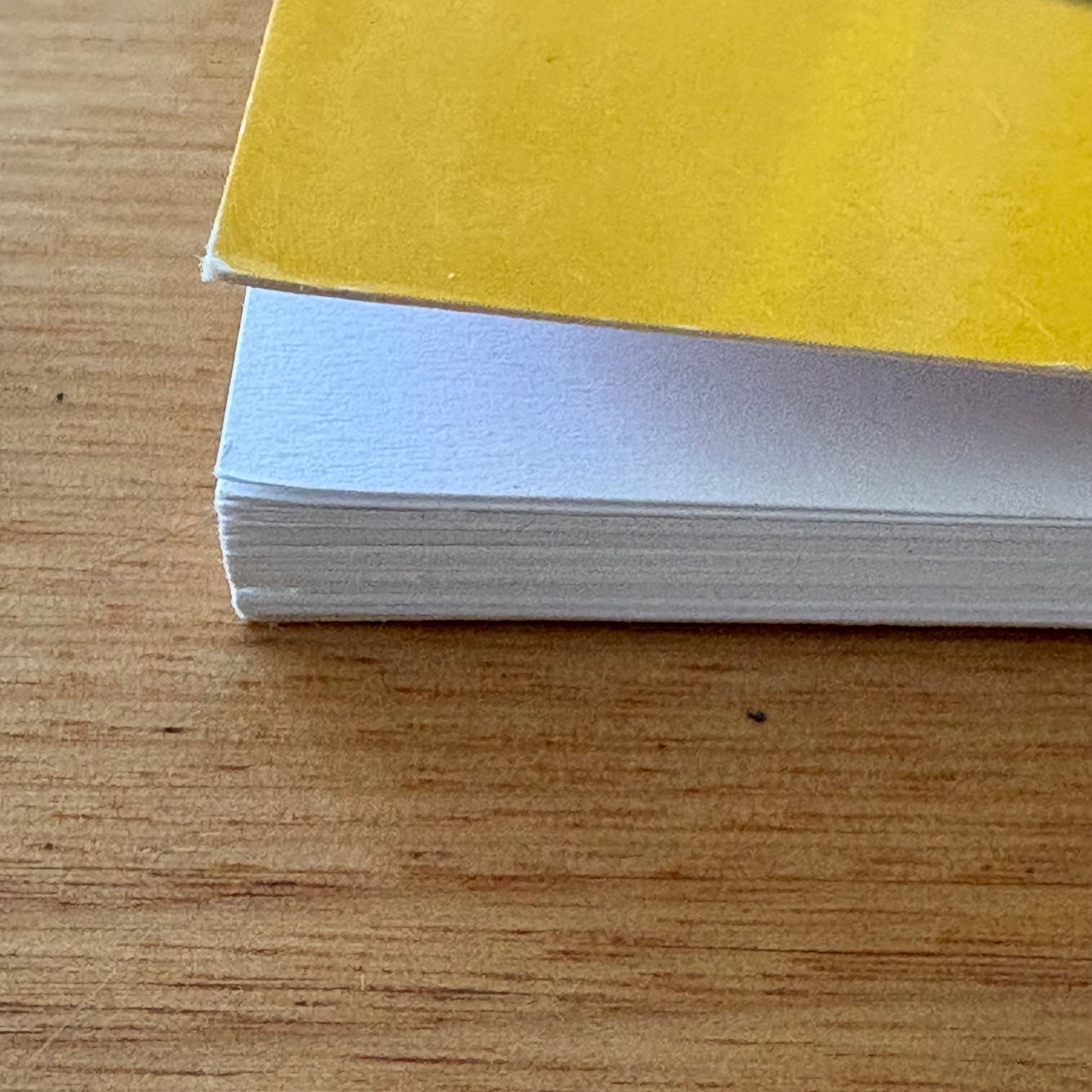 On Talking Terms With Dogs: Calming Signals by Turid Rugaas Paperback GD