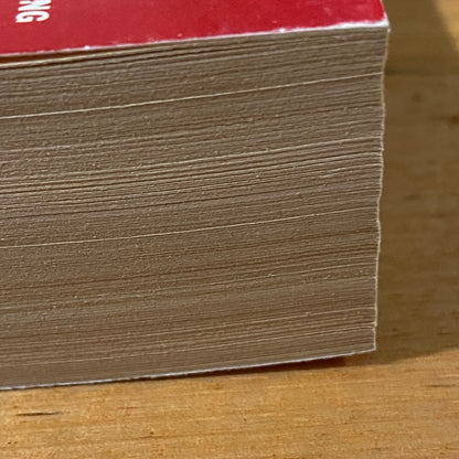 Satan His Psychotherapy And Cure Jeremy Leven Paperback 1984 GD