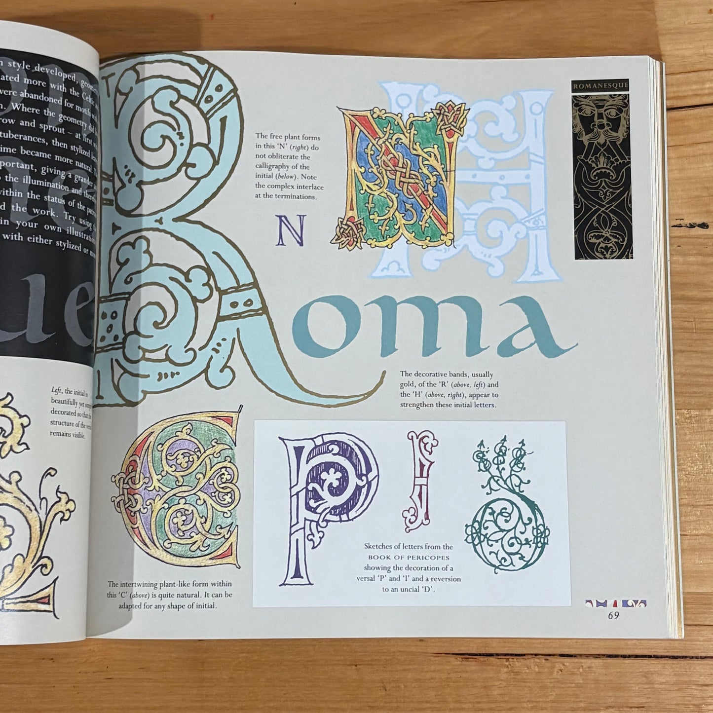The Illuminated Alphabet by Timothy Noan Paperback Calligraphy 1994 GD