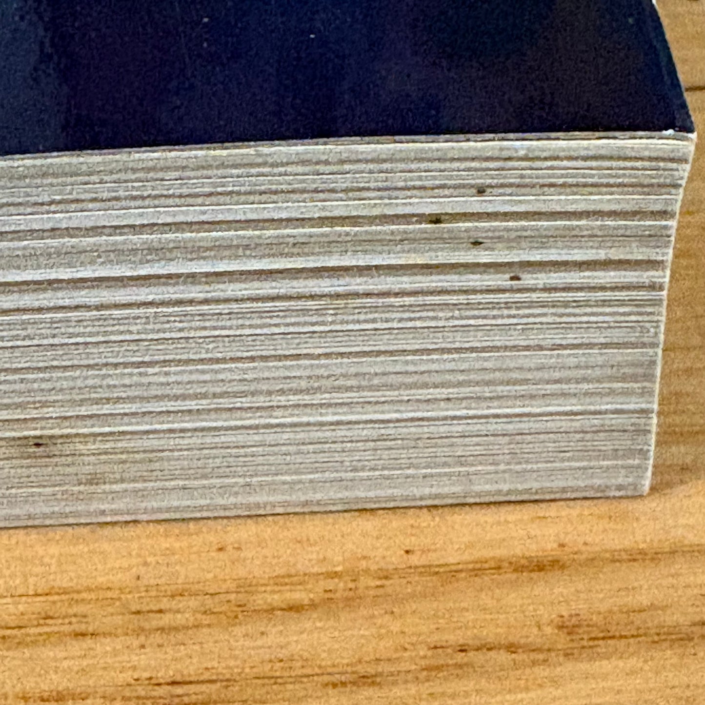 Promise Of The Witch King R.A. Salvatore Forgotten Realms Paperback 2006 GD