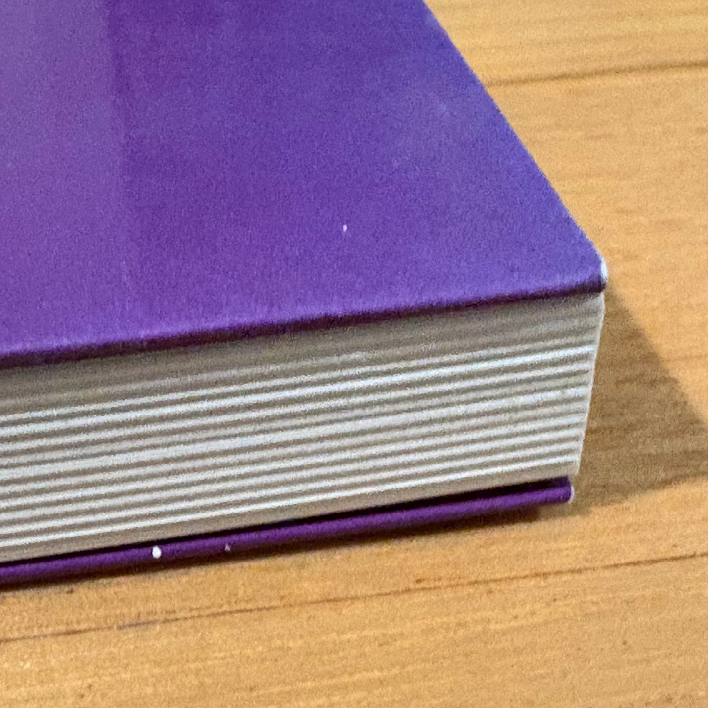 The WEL Herstory Women's Electoral Lobby in New Zealand 1975-2002 Paperback GD