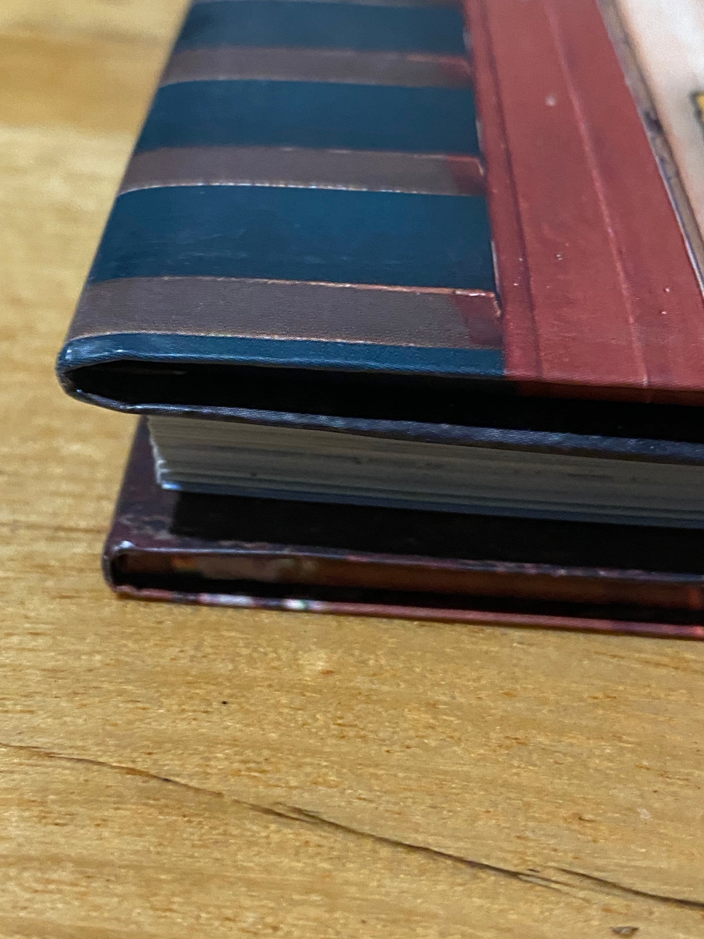 Every Man And His Dog by David Darcy Hardcover 2013 GD