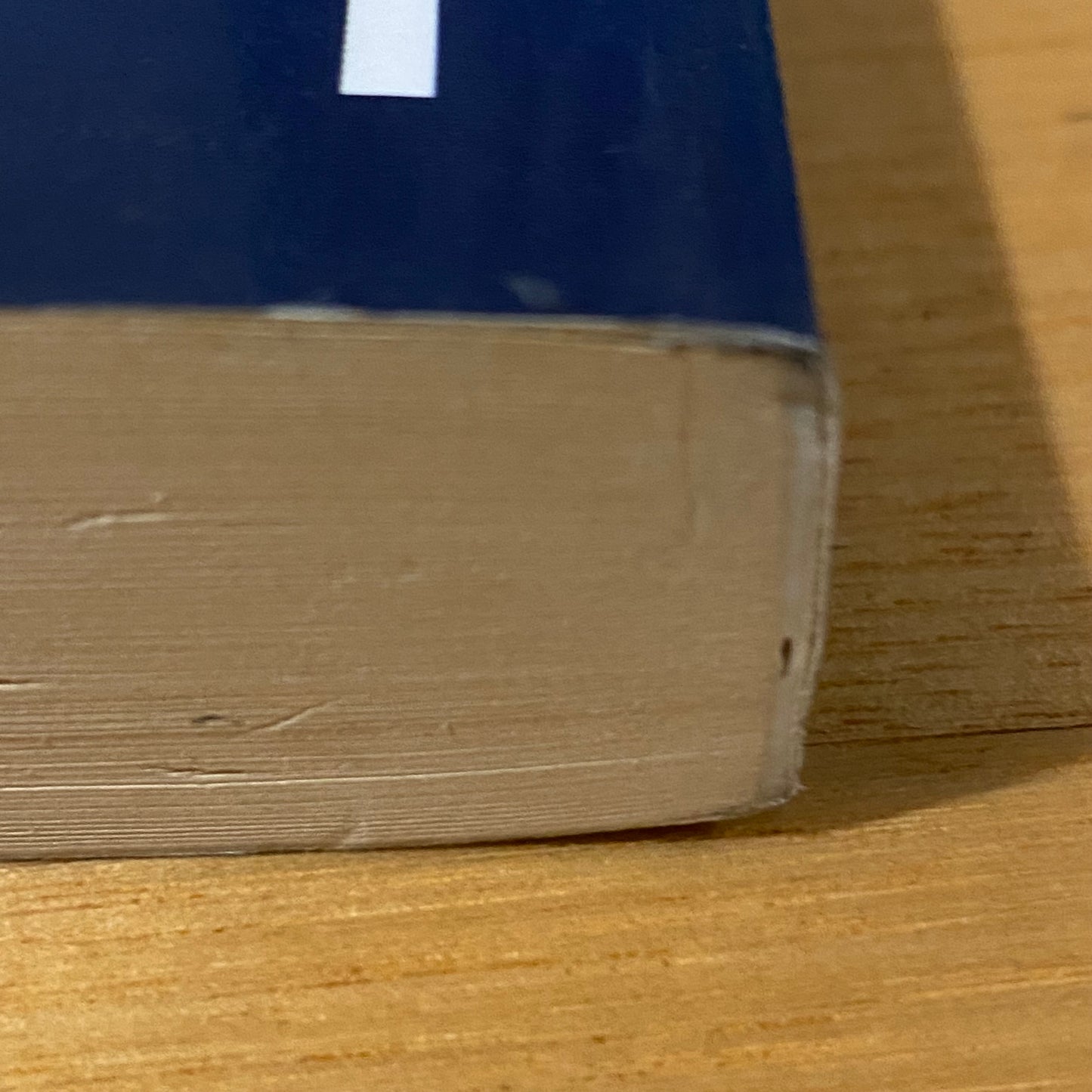 Living With Bipolar by Lesley & Michael Berk Paperback 2008 GD