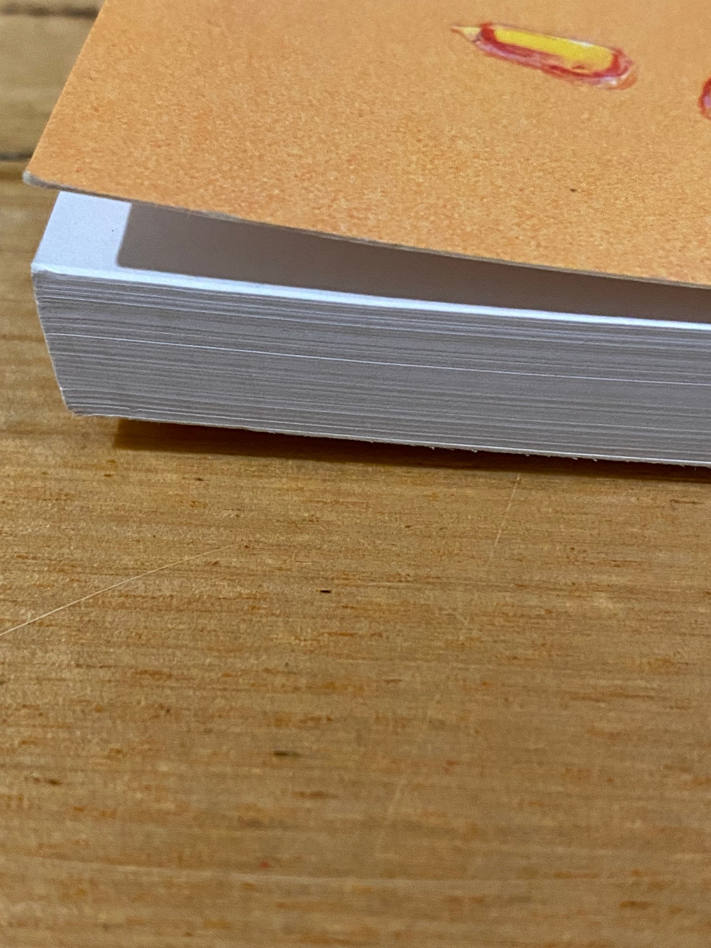 The Seed Savers' Handbook by Michael & Jude Fanton Paperback 2014 GD