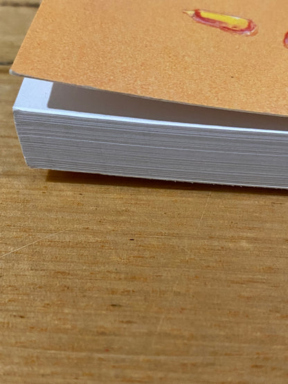 The Seed Savers' Handbook by Michael & Jude Fanton Paperback 2014 GD