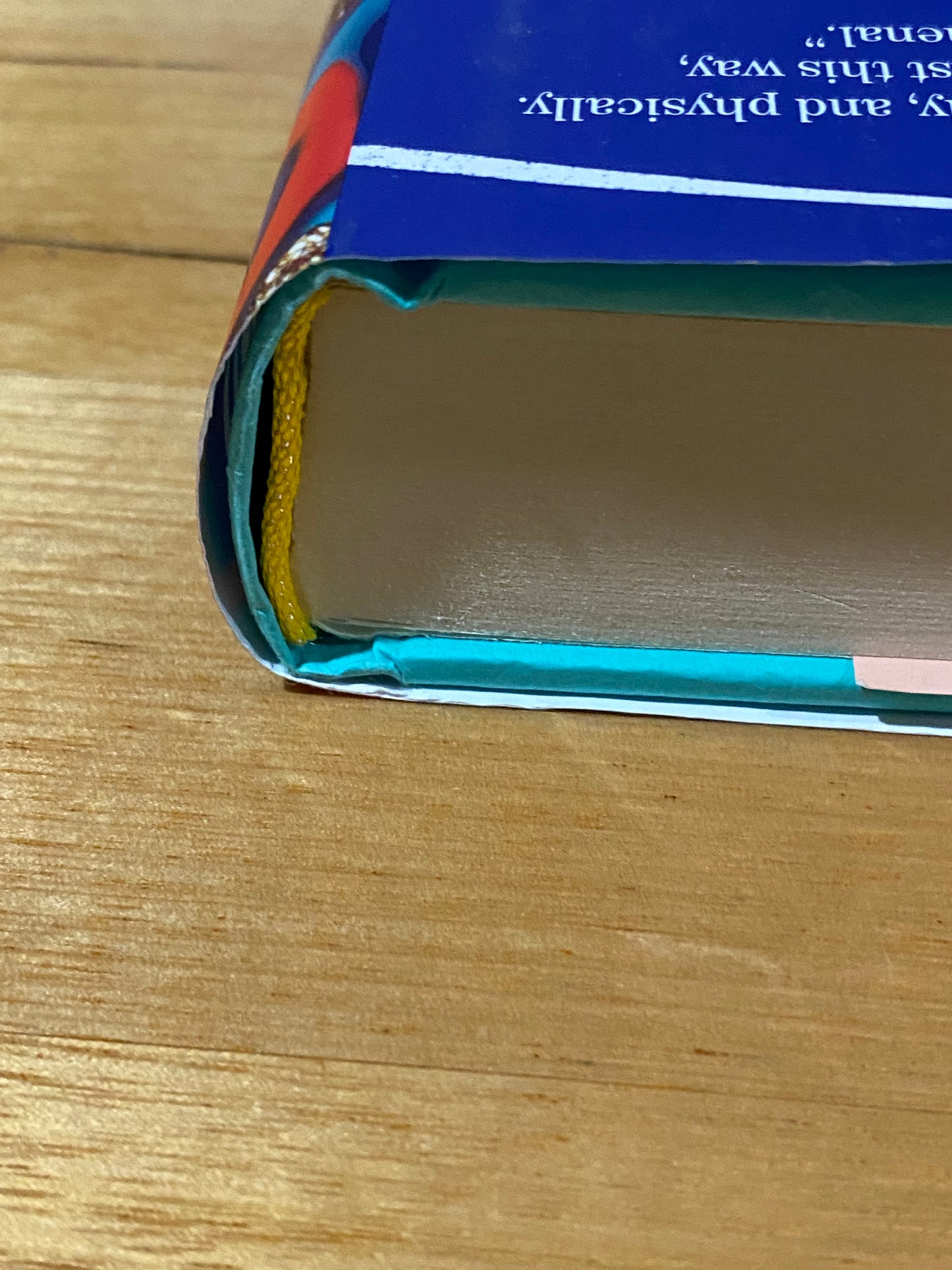 Untamed by Glennon Doyle Hardcover 2020 GD