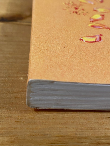 The Seed Savers' Handbook by Michael & Jude Fanton Paperback 2014 GD