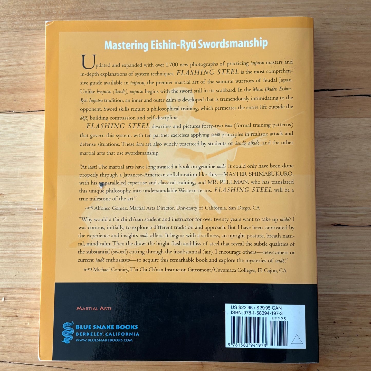 Flashing Steel Mastering Eishin-Ryu Swordmanship 2nd Edition Paperback VGC