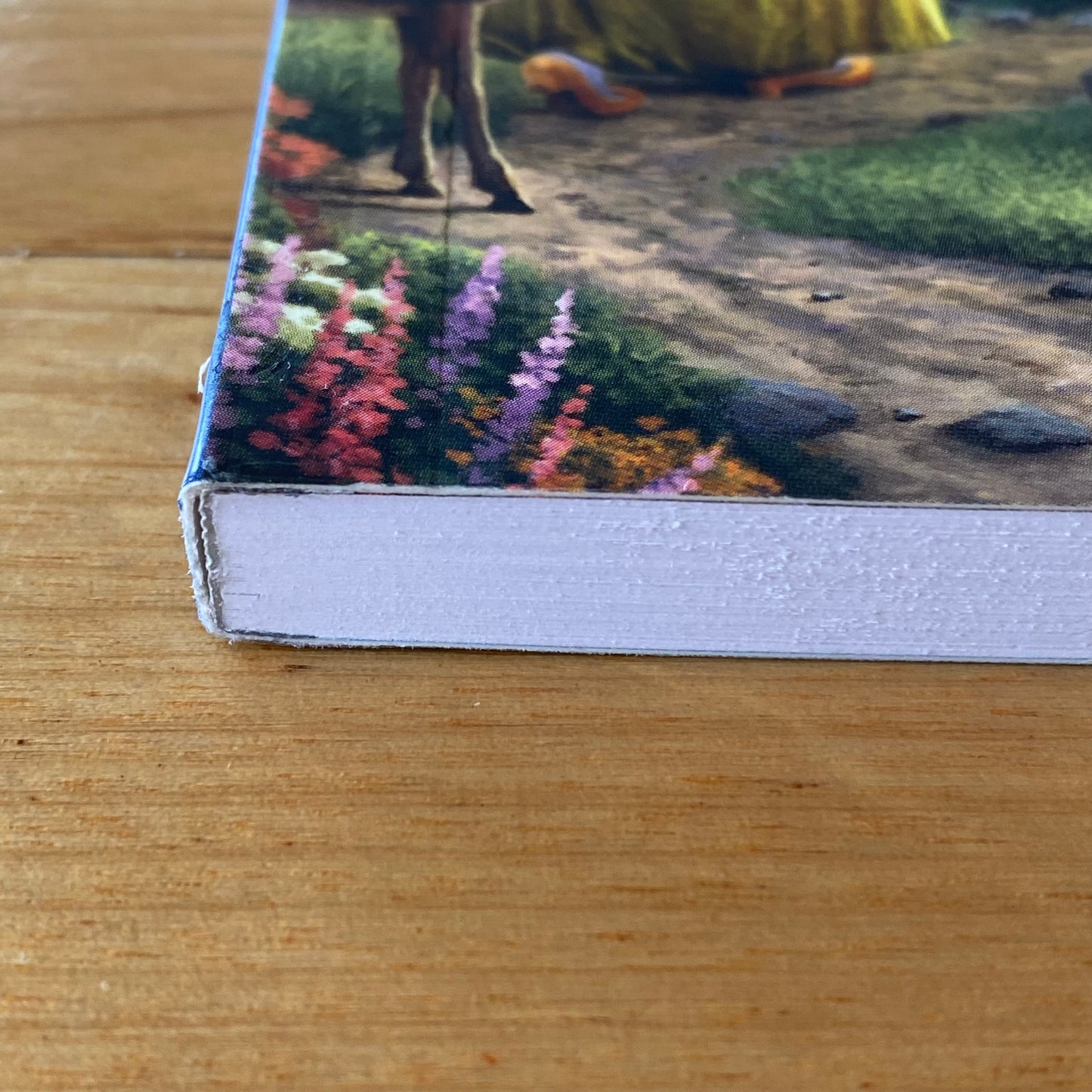 Disney Dreams Collection Colouring Book Thomas Kinkade Paperback 2017 GD