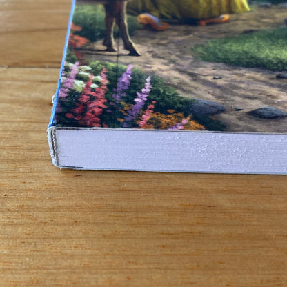 Disney Dreams Collection Colouring Book Thomas Kinkade Paperback 2017 GD