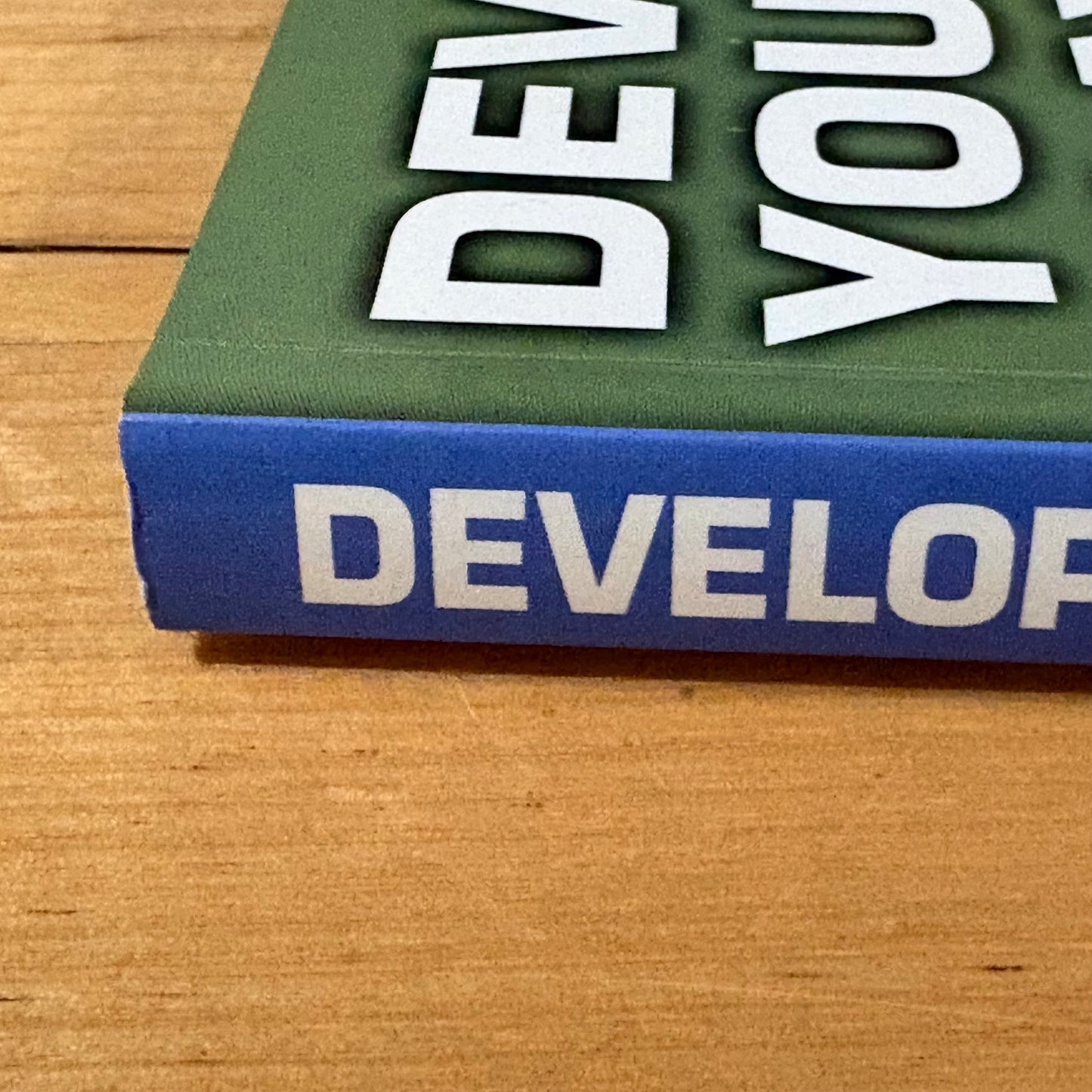 Developing Youth Soccer Players by Horst Wein Paperback GD