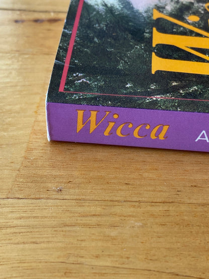 Wicca A Guide For The Solitary Practitioner by Scott Cunningham Paperback 1999 GD