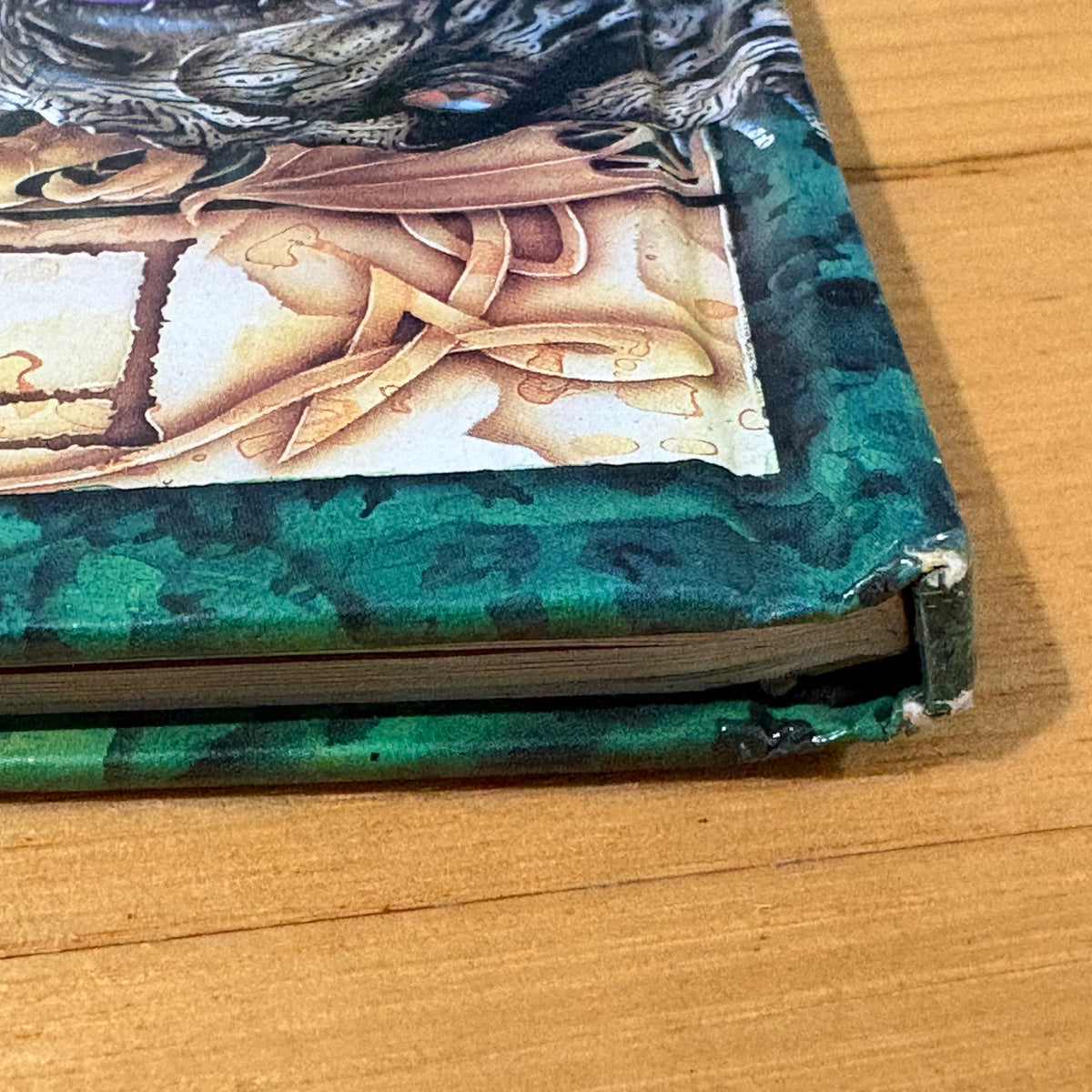 The Deltora Book of Monsters Emily Rodda Marc McBride Hardcover 2001 GD