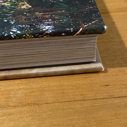 Natural Harry Delicious Plant Based Summer Recipes by Harriet Birrell Hardcover 2015 GD