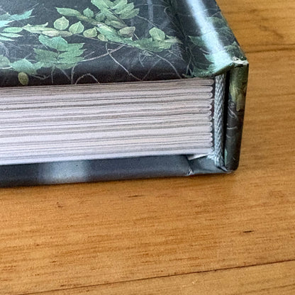 Dogs on Doorsteps by Suzanne Stephenson Hardcover 2022 GD