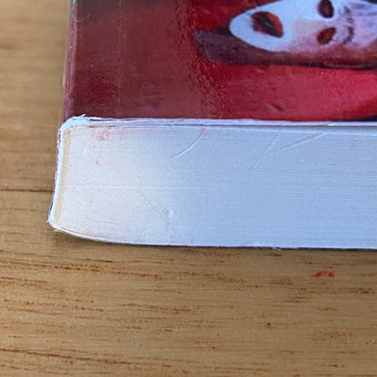 The Painter Of Lost Souls by Michael Vatikiotis Signed Paperback 2012 GD