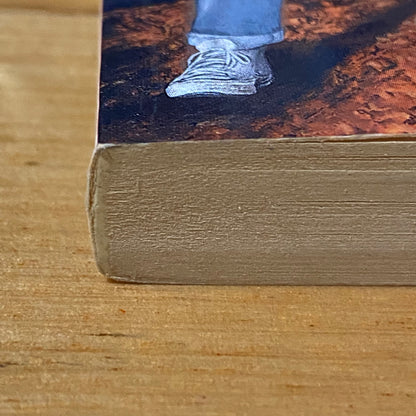 Skymaze by Gillian Rubinstein Science Fiction Paperback 1990 GD