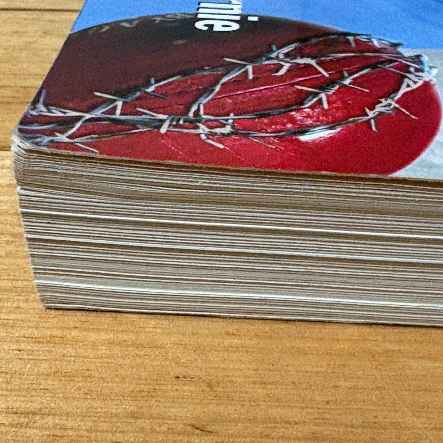 T.J. Over The Top Terry Jenner Biography Paperback GD