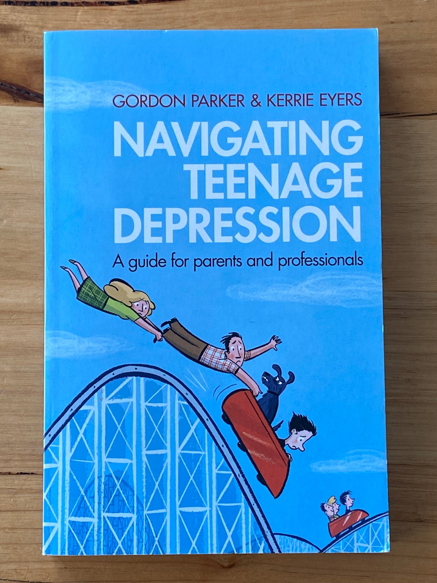 Navigating Teen Depression Gordon Parker Kerry Eyers Paperback 2009 GD