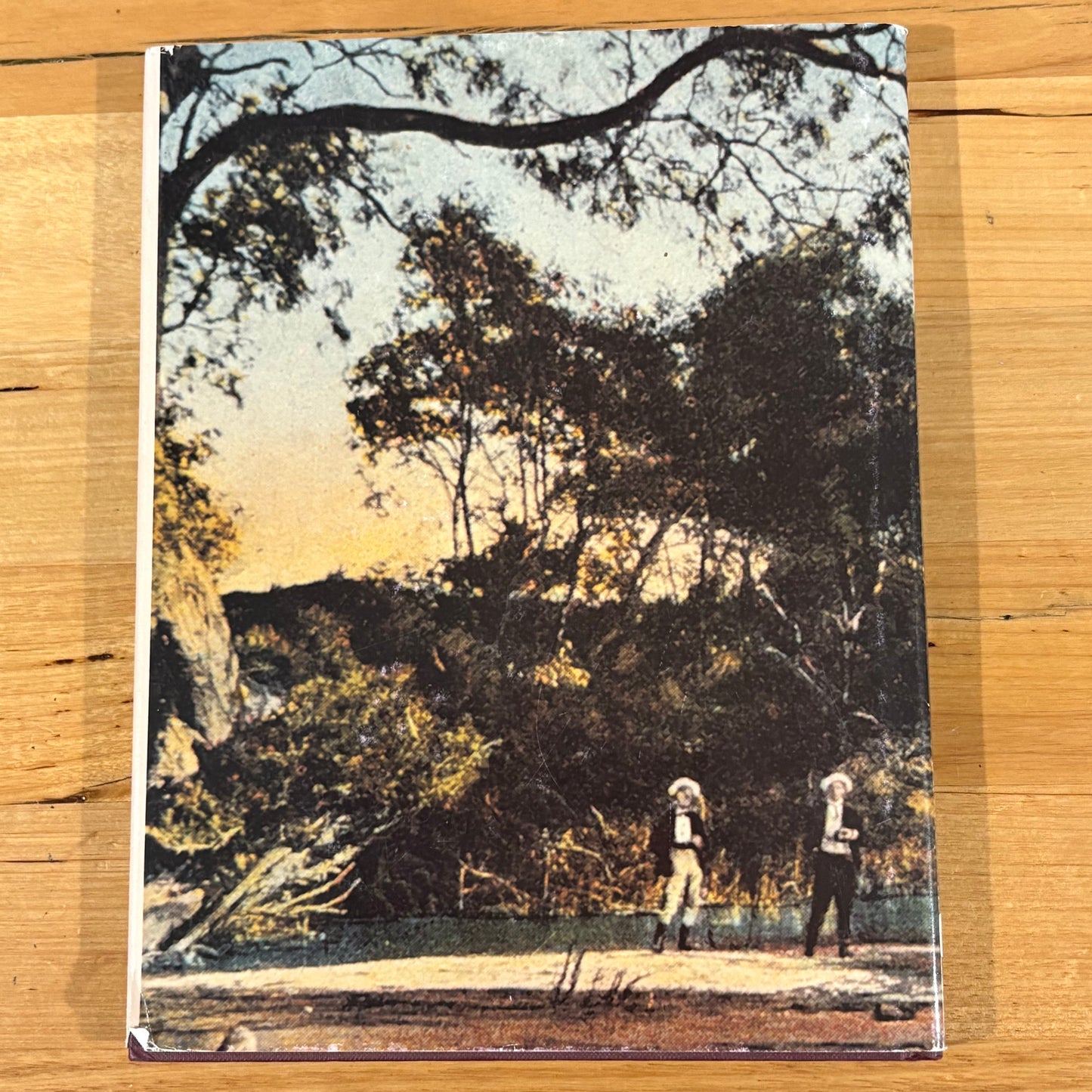 The Stepping Stone A History of the Shire of Bannockburn by Derek Beaurepaire 1995