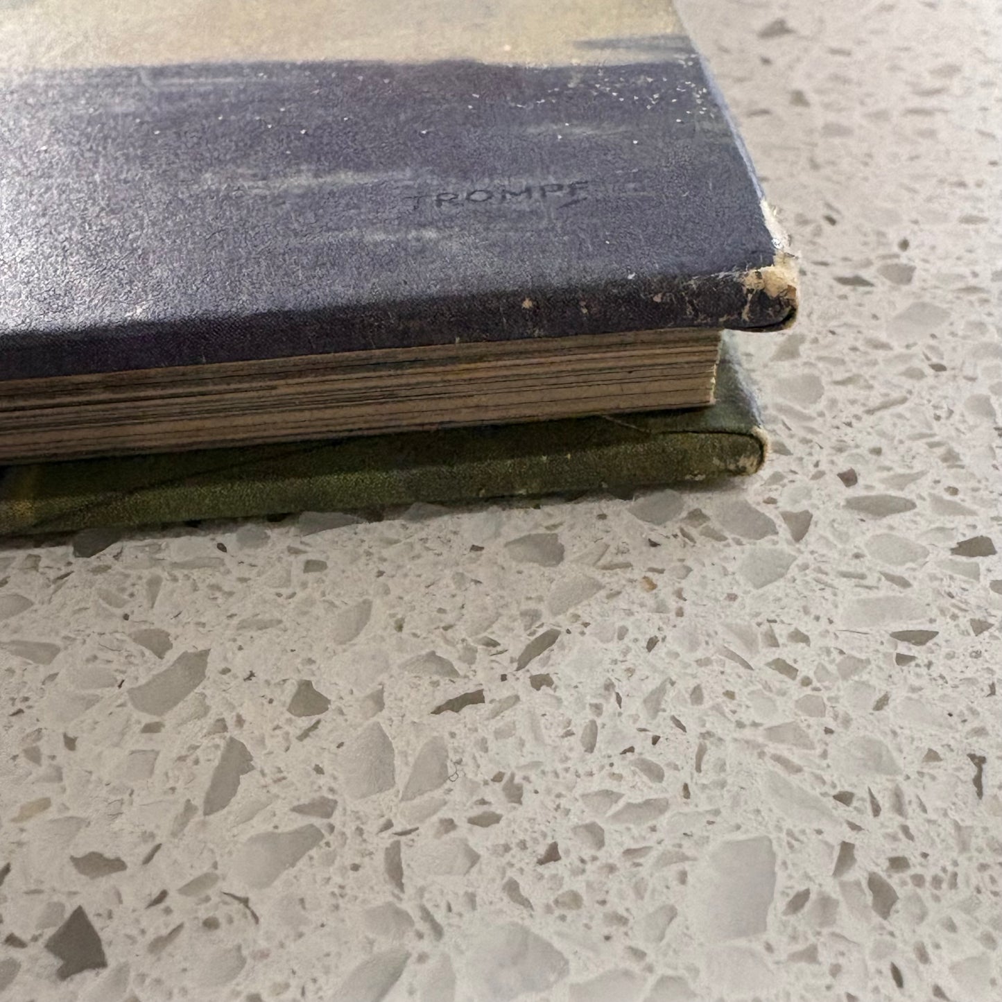 The Western Horizon of Victoria Australia VTG Western Districts Hardcover GD