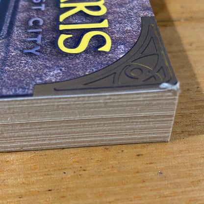 Quentaris Quest Of The Lost City by Paul collins Fantasy Paperback 2008 GD