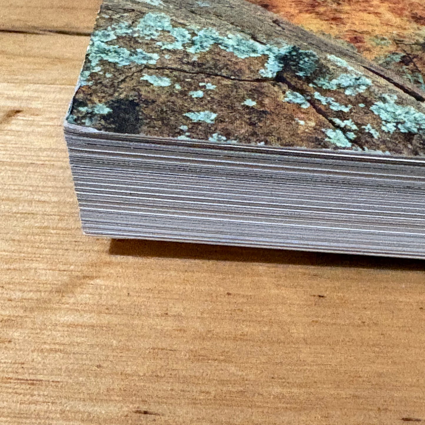 Bush Heritage Australia Restoring Nature Step by Step Sarah Martin Paperback GD