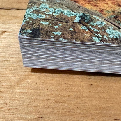 Bush Heritage Australia Restoring Nature Step by Step Sarah Martin Paperback GD