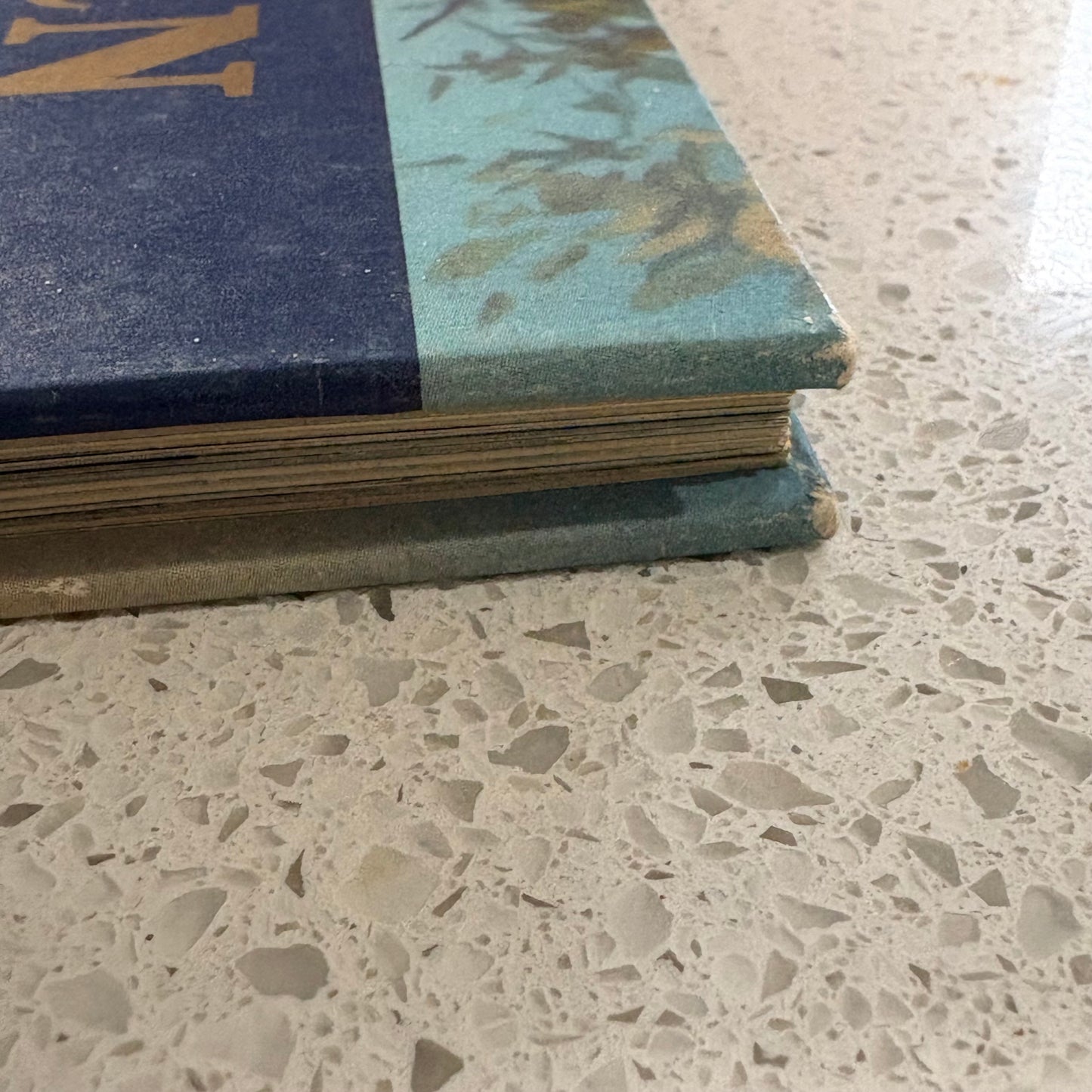 The Western Horizon of Victoria Australia VTG Western Districts Hardcover GD