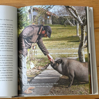 Grape Olive Pig by Matt Goulding Spanish Food Culture 2016 Hardcover GD