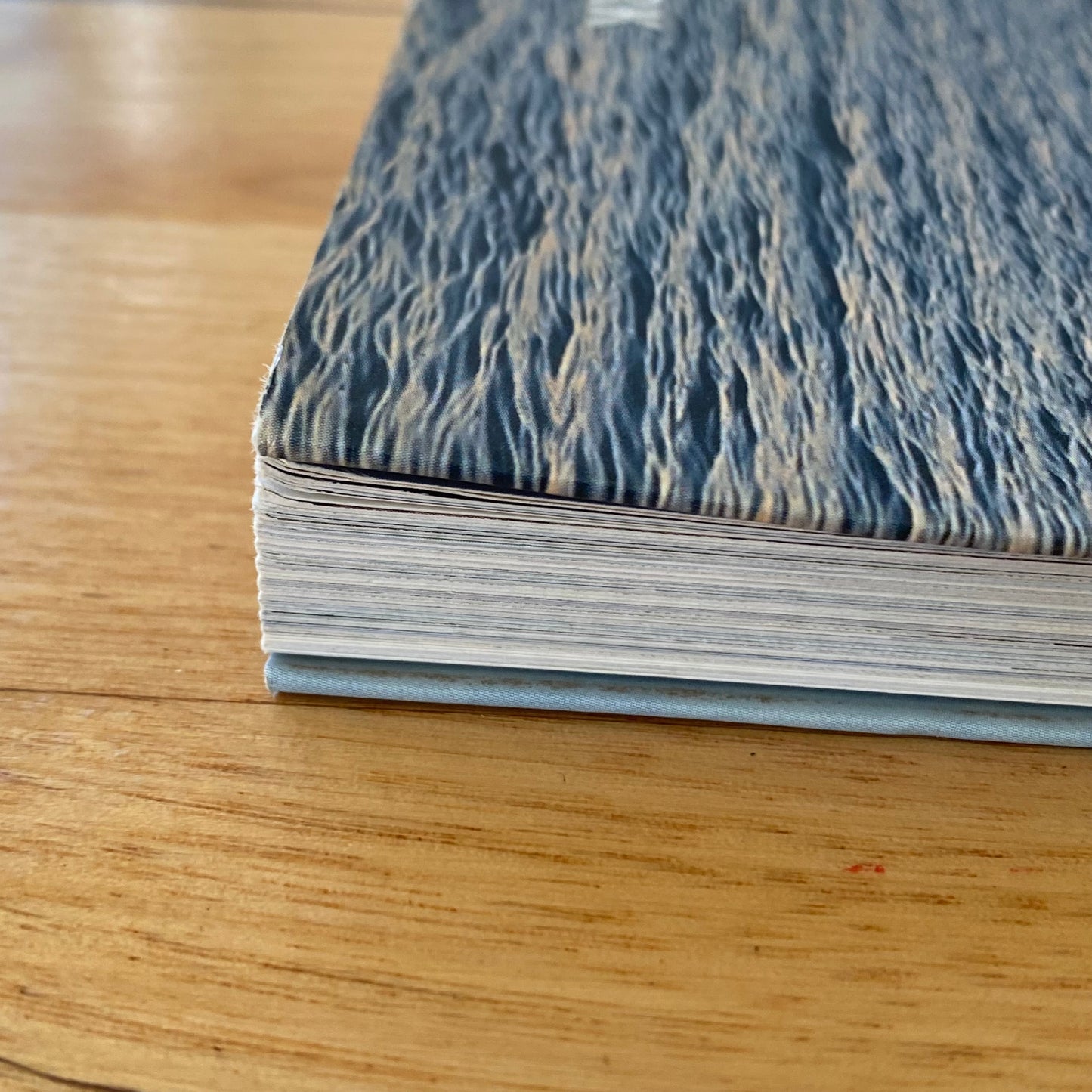 The Catch The Story of Fishing in Victoria Anna Clark Paperback 2017 GD