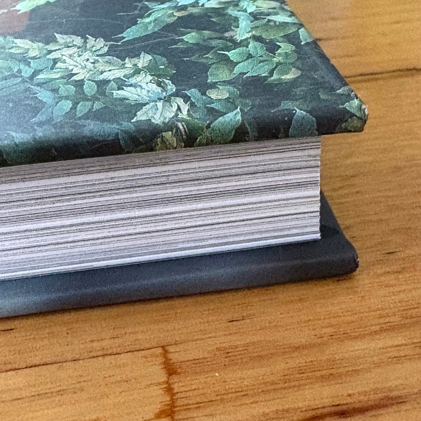 Dogs on Doorsteps by Suzanne Stephenson Hardcover 2022 GD