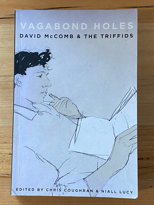 Vagabond Holes David McComb & The Triffids Paperback 2009 GD