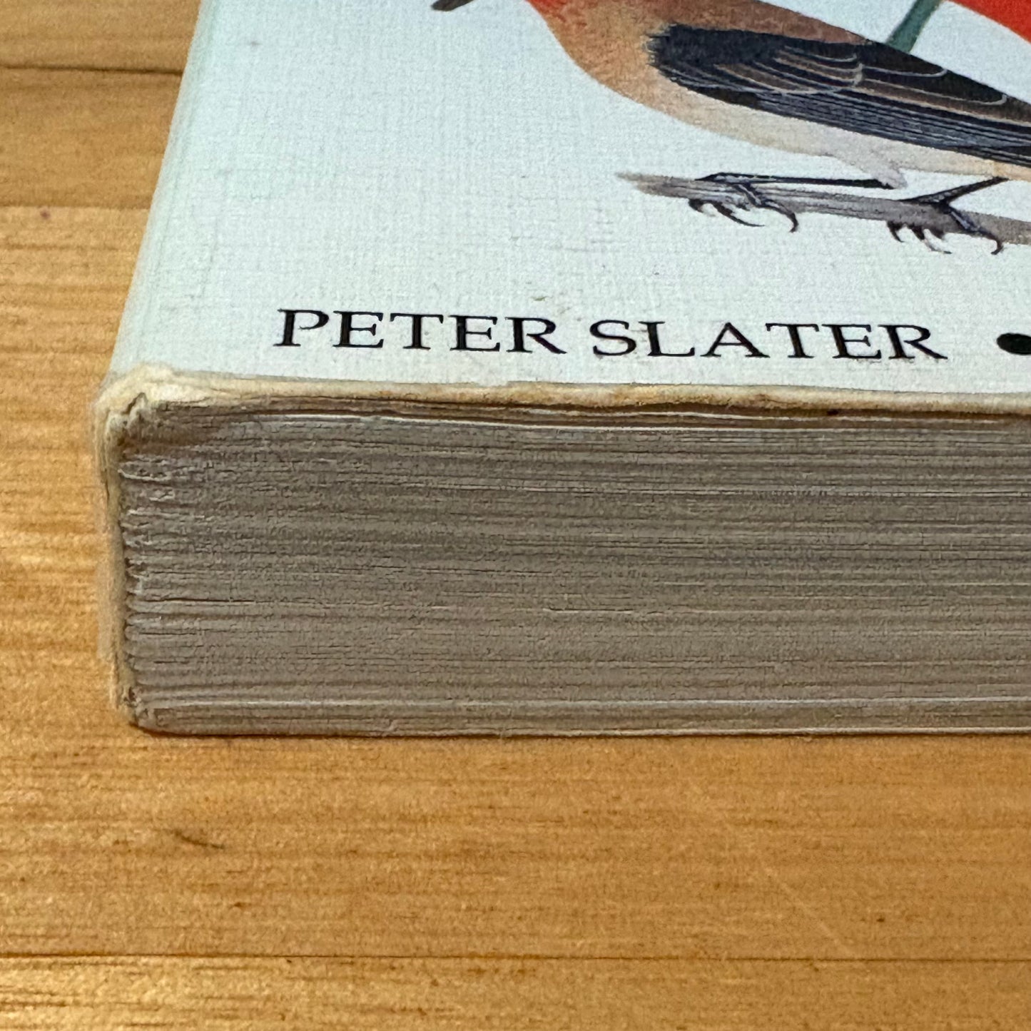 The Slater Field Guide To Australia Birds Revised Edition Paperback 1991 GD