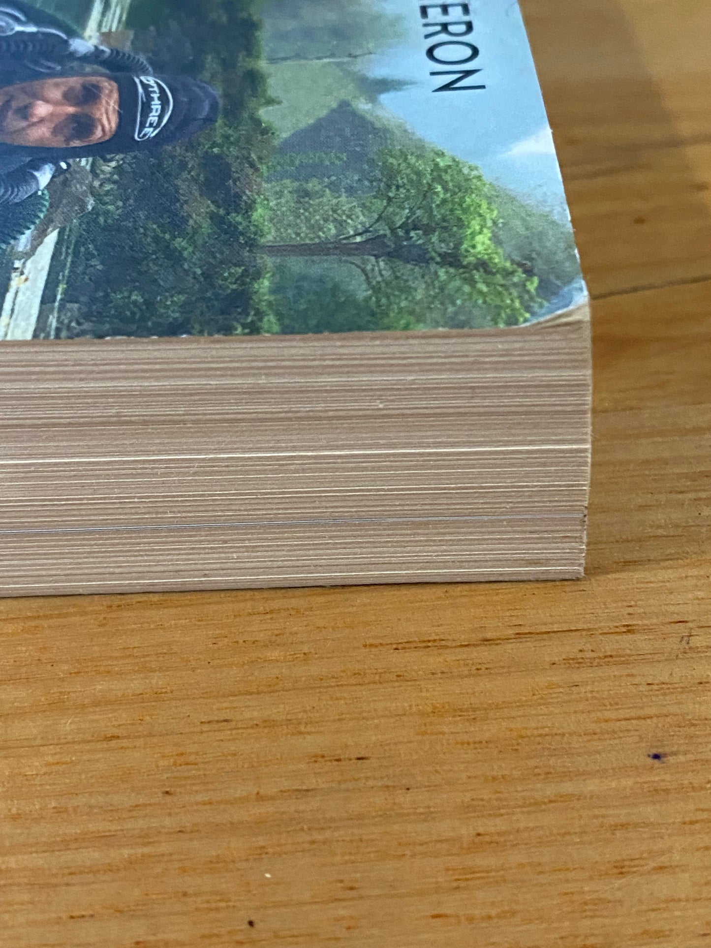 Craig Challen & Richard Harris Against All Odds Paperback 2019 GD