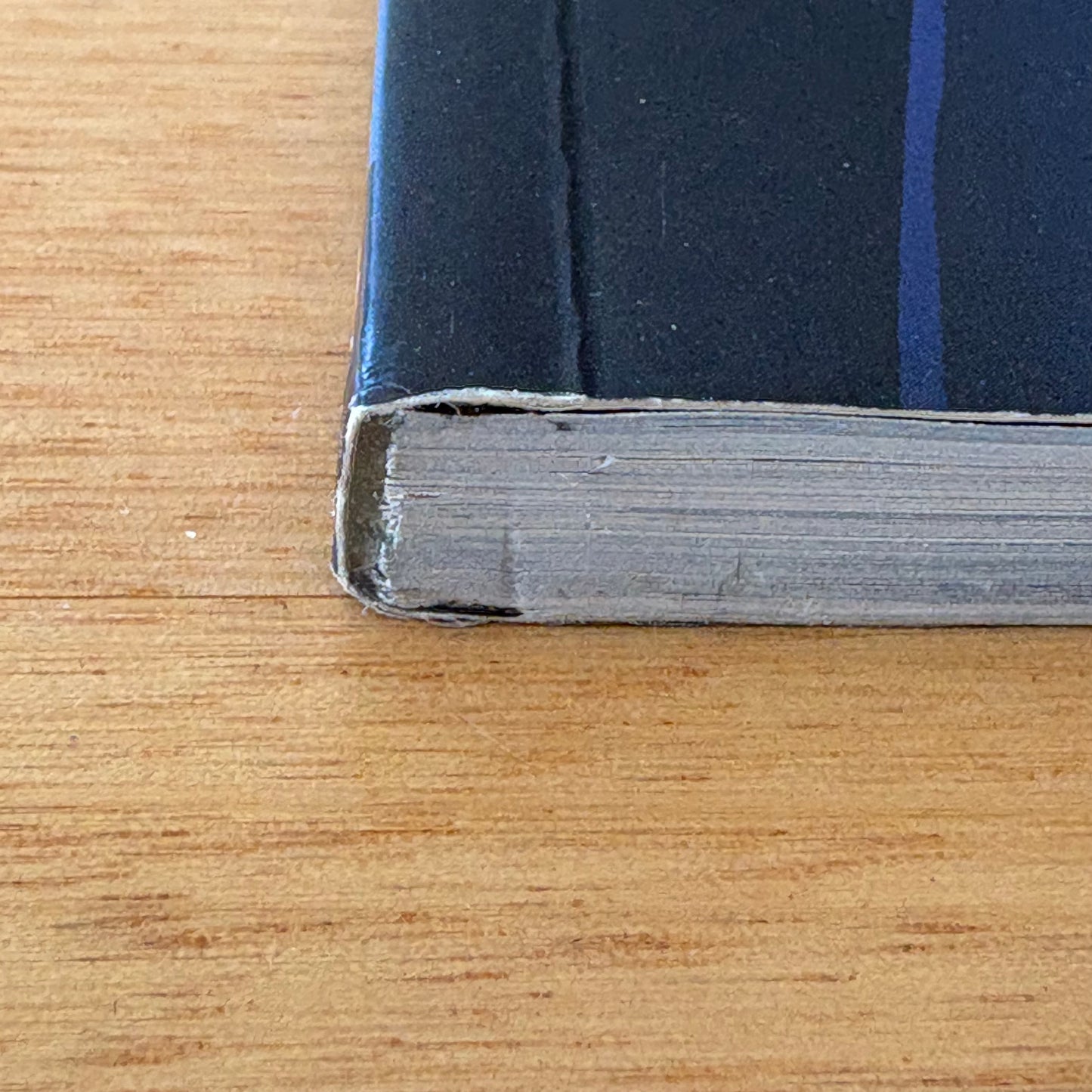 Frostbite A Vampire Academy Graphic Novel Richelle Mead Leigh Dragoon VG