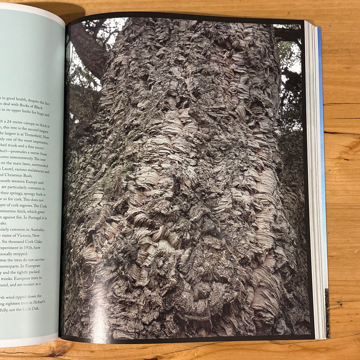 Australia's Remarkable Trees by Richard Allen and Kimbal Baker Softcover 2010