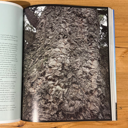 Australia's Remarkable Trees by Richard Allen and Kimbal Baker Softcover 2010