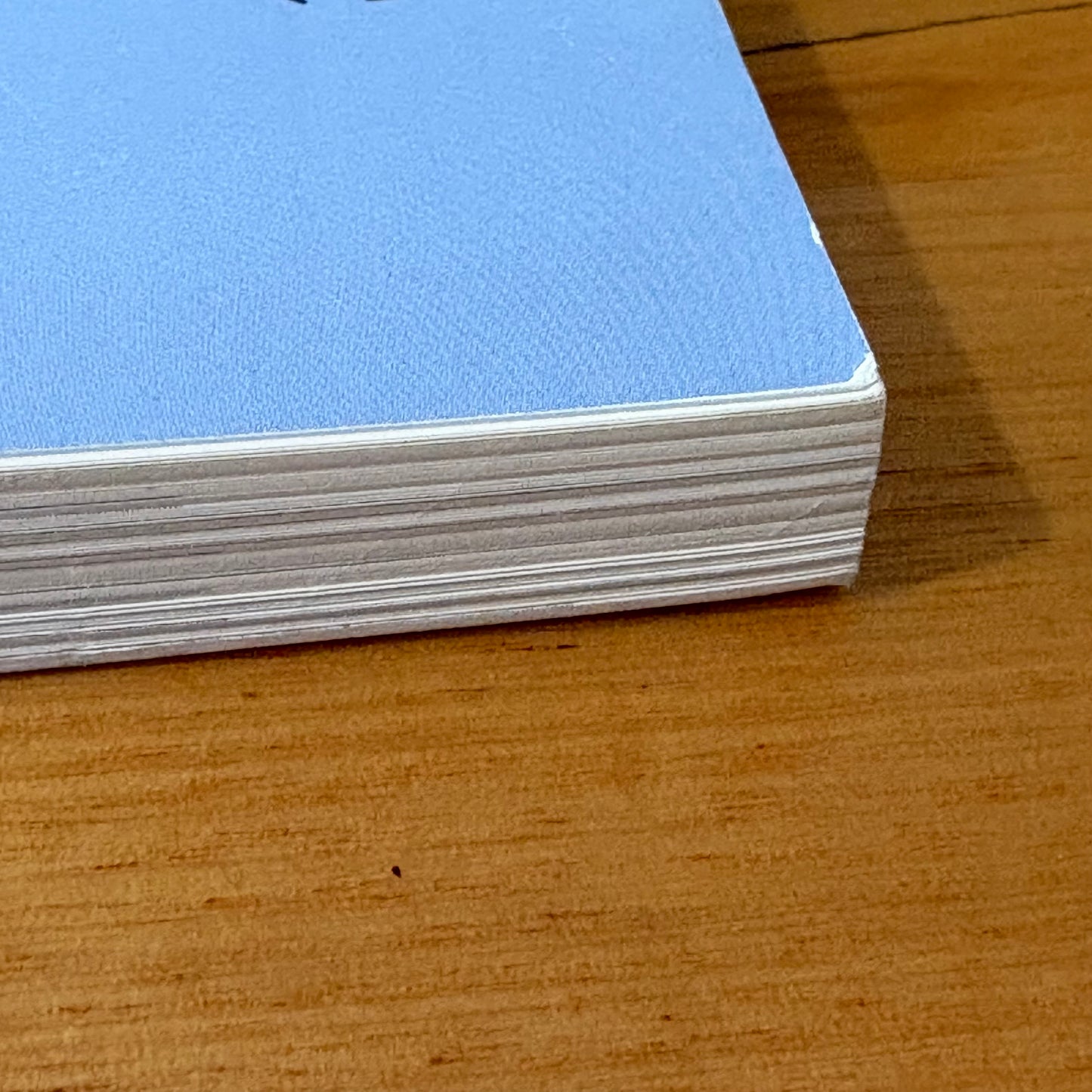 Let My People Go Yvon Chouinard Surfing Paperback 2006 GD