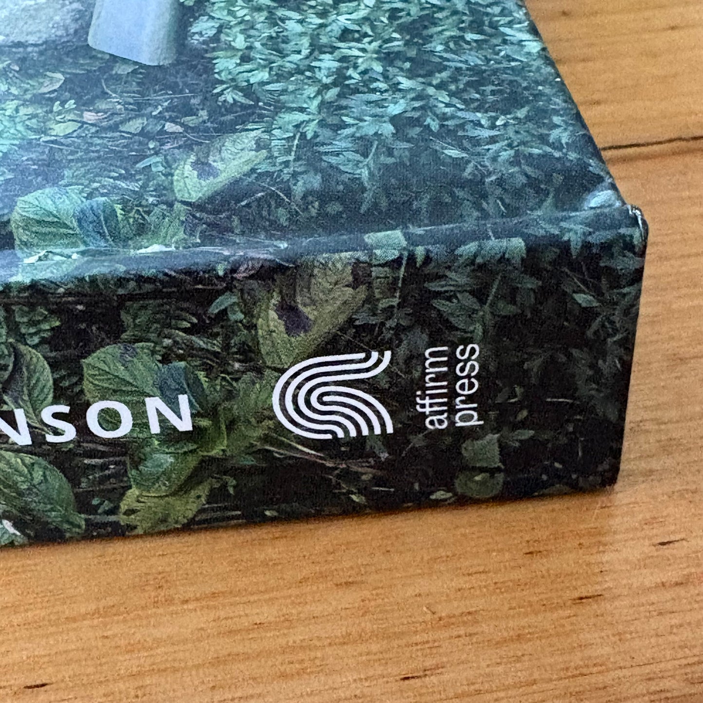 Dogs on Doorsteps by Suzanne Stephenson Hardcover 2022 GD