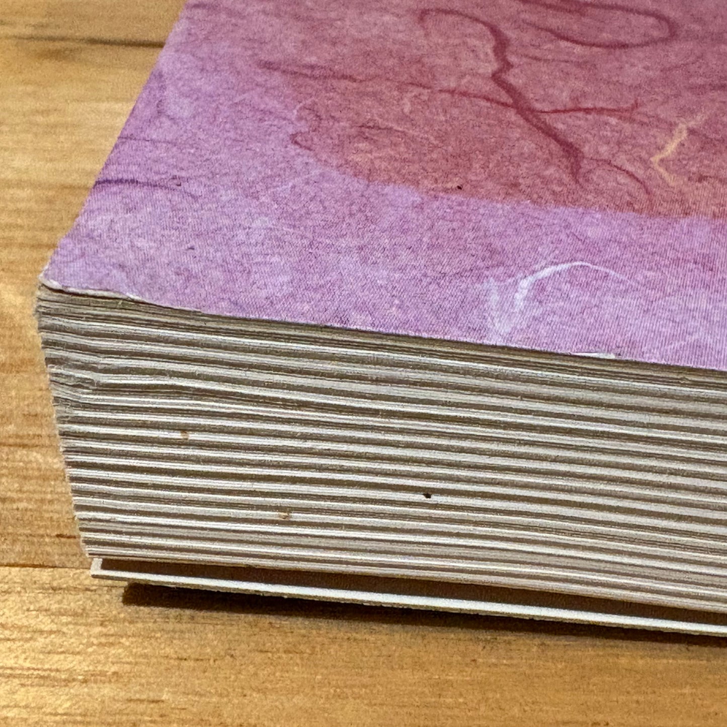 Thanks Girls and Goodbye Australian Women's Land Army Paperback 1990 GD