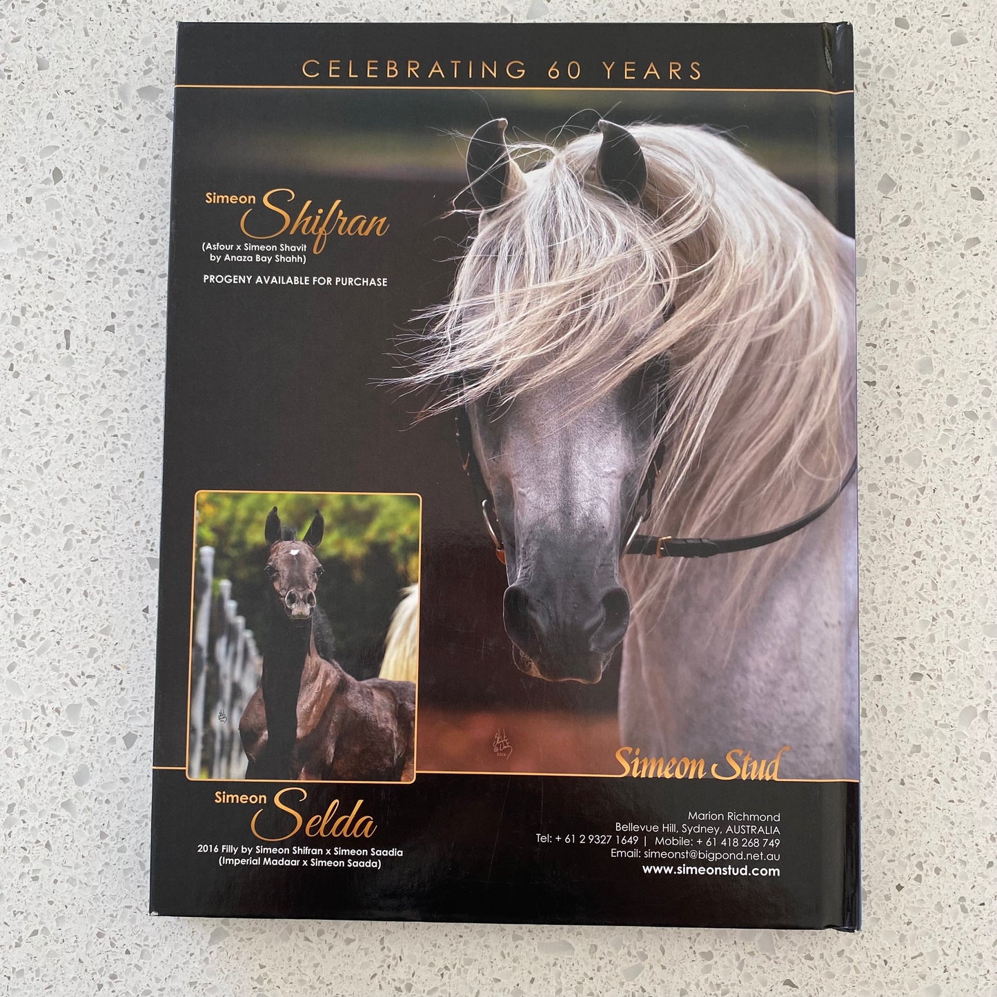 Arabian Studs and Stallions Annual 2018 Hardcover GD